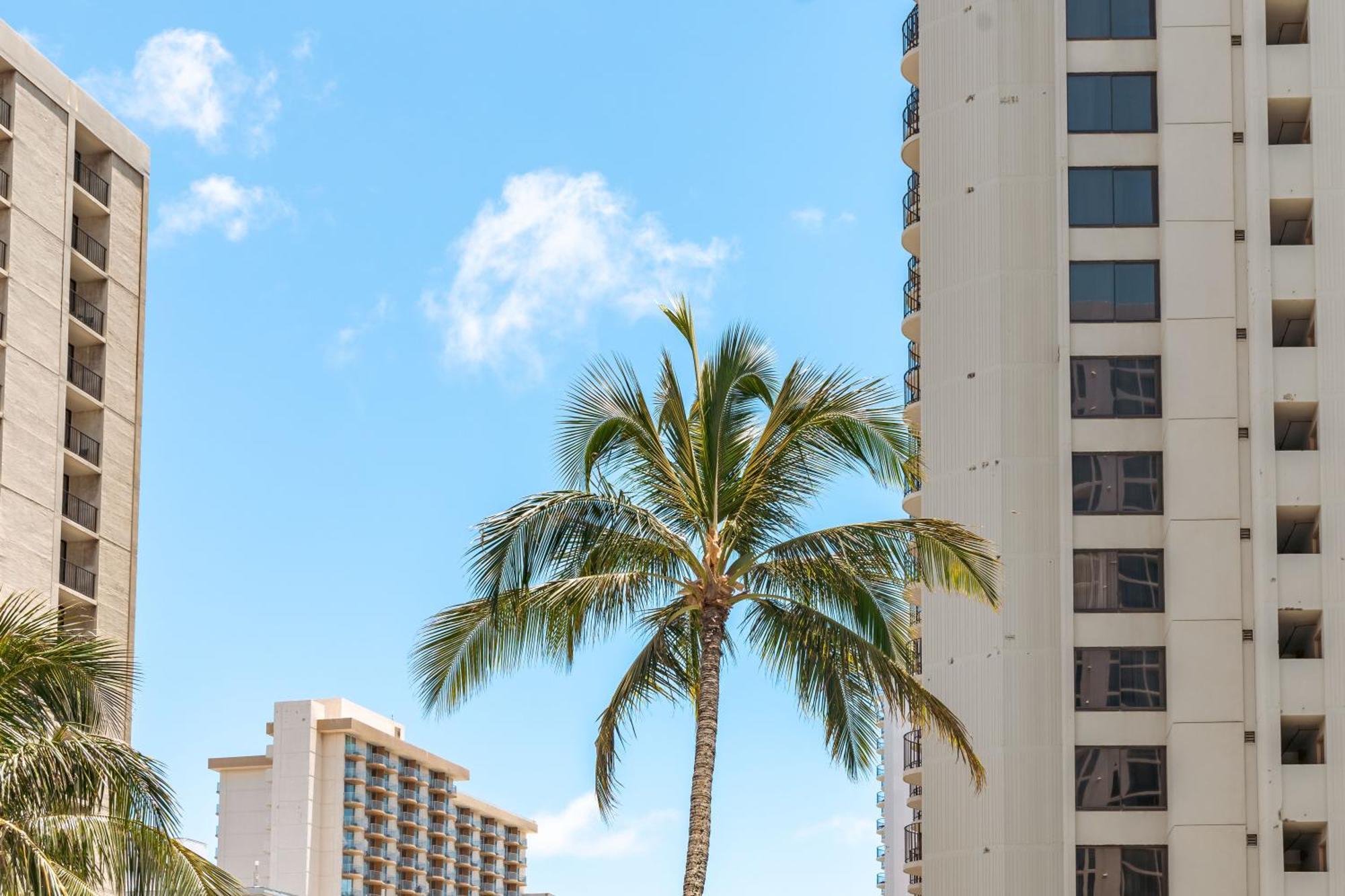 Aloha Vibes With Ocean Views, Near Beach & Parking! Honolulu Exterior photo