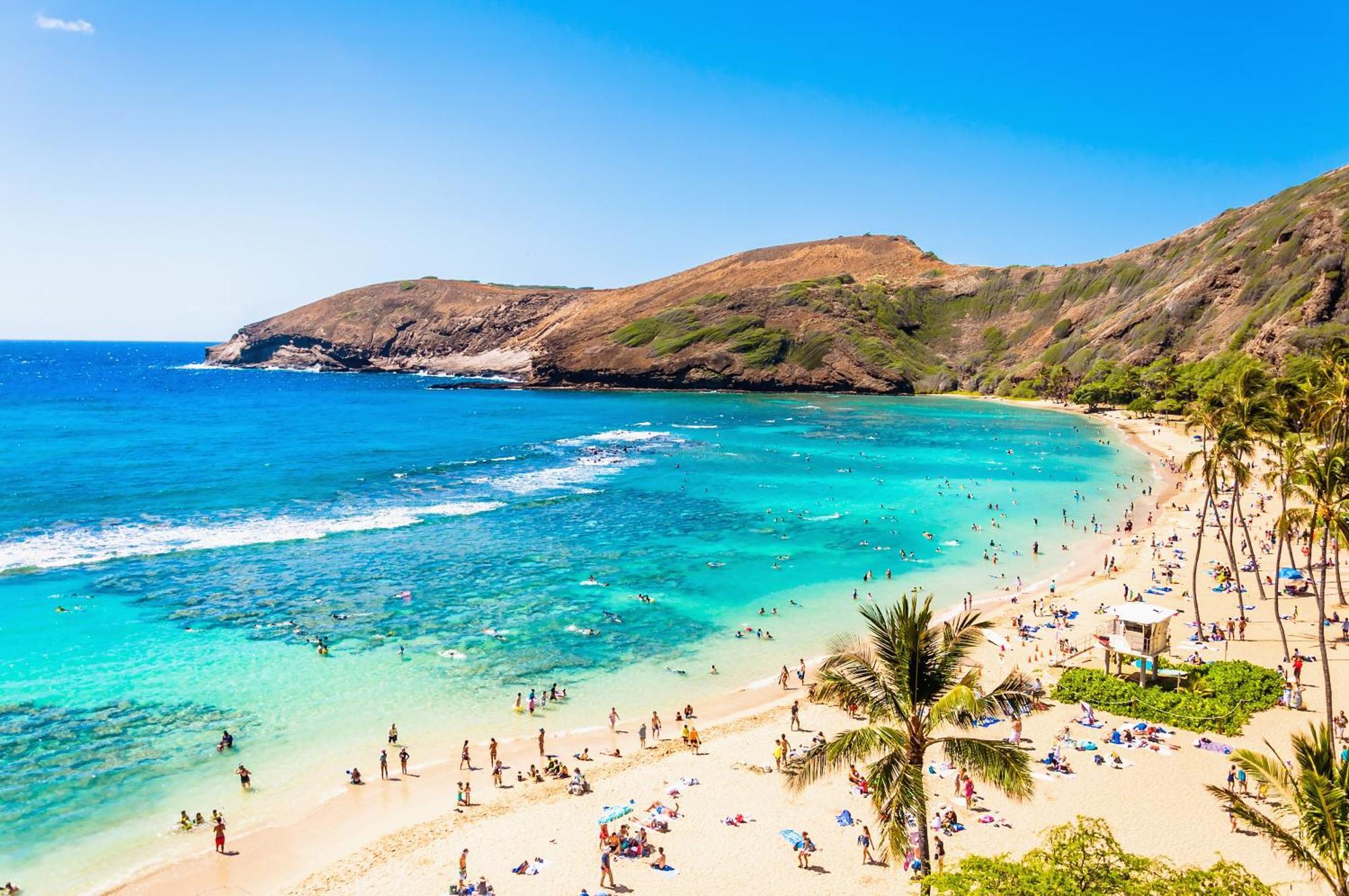 Aloha Vibes With Ocean Views, Near Beach & Parking! Honolulu Exterior photo